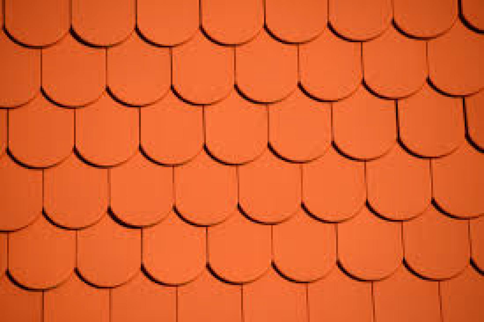 Toiture-peinture jpg